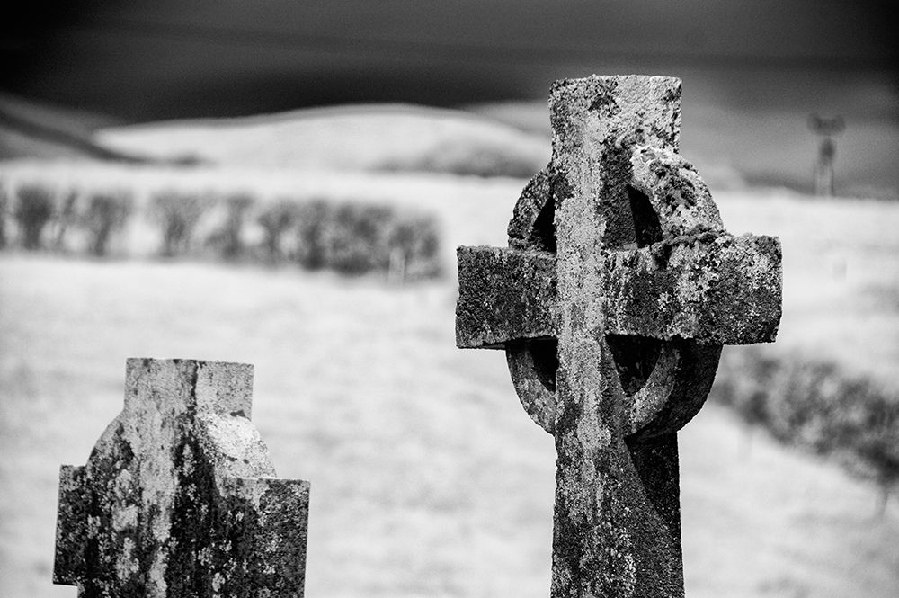 Old lichen-covered Celtic cross at Burrishoole Abbey in County Mayo-Ireland.